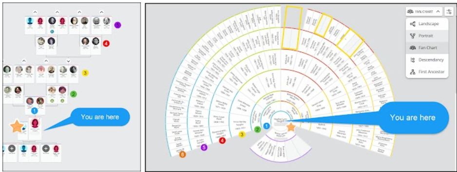 FamilySearch Fan Chart showing where you are in the family tree